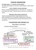 Генезис минералов. Условия, закономерности, процессы, приводящие к образованию минералов
