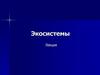Экосистемы. Отличие биогеоценоза от экосистемы