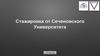 Стажировка от Сеченовского университета