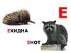 Читаем алфавит. Животные Е - Й