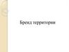 Бренд территории
