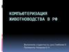 Компьютеризация животноводства в РФ