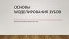 Основы моделирования зубов