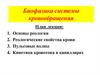 Биофизика системы кровообращения