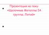 Щелочные металлы IА группы. Литий