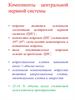 Компоненты центральной нервной системы