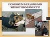Поможем бездомным животным вместе