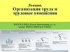 Организация труда и трудовые отношения