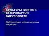 Культуры клеток в ветеринарной вирусологии. Лабораторные модели вирусных инфекций