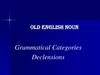 Old English Noun. Grammatical Categories Declensions. The Noun Grammatical Categories