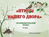 Птицы нашего двора. Исследовательский проект