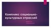 Комплекс социально-культурных отраслей