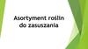 Asortyment roślin do zasuszania