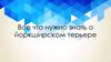 Все, что нужно знать о йоркширском терьере