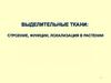 Выделительные ткани: строение, функции, локализация в растении