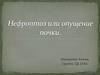 Нефроптоз, или опущение почки