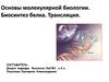Основы молекулярной биологии. Биосинтез белка. Трансляция