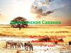 Африканская саванна