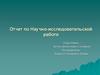 Отчет по научно-исследовательской работе