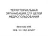 Территориальная организация для целей недропользования