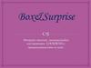 Компания «Box&Surprise»