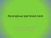 Культурные растения поля