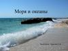 Моря и океаны