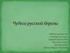 Чудеса русской березы