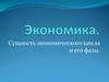 Экономика. Сущность экономического цикла и его фазы