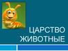 Царство животные