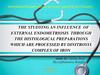 The studying an influence of external endometriosis through the histological preparations which are processed by dinitrosyl