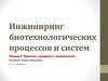 Инжиниринг биотехнологических процессов и систем. Практики, стандарты и терминология. (Лекция 3)