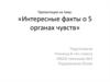 Интересные факты о 5 органах чувств