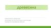 Древесина. Свойства древесины