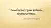 Соматосенсорлы жүйенің физиологиясы