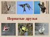 Пернатые друзья