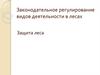 Законодательное регулирование видов деятельности в лесах. Защита леса