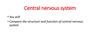 Central nervous system