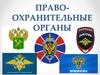 Правоохранительные органы