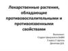 Лекарственные растения, обладающие противовоспалительными и противоязвенными свойствами