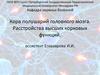 Кора полушарий головного мозга. Расстройства высших корковых функций