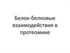 Белок-белковые взаимодействия в протеомике