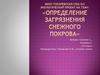 Экологический проект на тему: «Определение загрязнения снежного покрова»