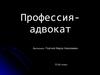 Профессия - адвокат