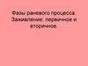 Фазы раневого процесса. Заживление: первичное и вторичное