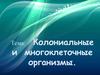 Колониальные и  многоклеточные организмы