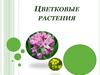 Цветковые растения