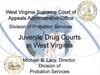 West Virginia Supreme Court of Appeals Administrative Office. Division of Probation Services. Juvenile Drug Courts