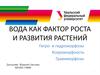 Вода как фактор роста и развития растений
