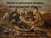 Охота и охотничьи ресурсы Волгоградской области